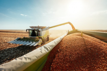 Россия не будет отменять экспортные пошлины на зерно – Патрушев 